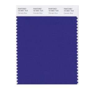  PANTONE SMART 19 3951X Color Swatch Card, Clematis Blue 