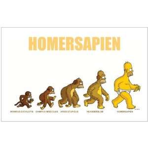  Postcard (Large) SIMPSONS   EVOLUTION Of The HOMERSAPIEN 