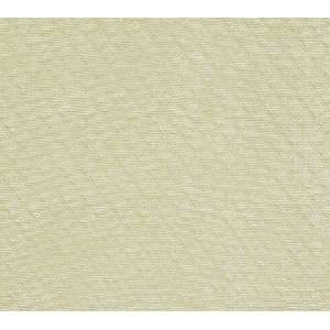  2216 Santini in Ivory by Pindler Fabric