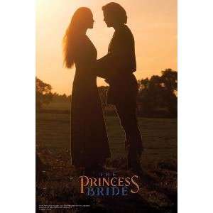Princess Bride Movie Poster 24 By 36 