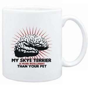  Skye Terrier IS MORE INTELLIGENT THAN YOUR PET   Dogs Sports