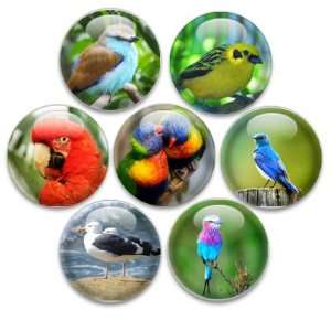 Decorative Push Pins or Magnets 7 Small Birds  Kitchen 