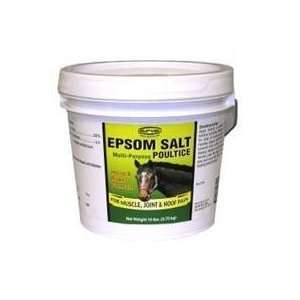   Epsom Salt Poultice / Size 10 Pound By Durvet/Equine