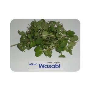 Micro Greens   Wasabi   4 x 8 oz  Grocery & Gourmet Food
