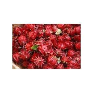  500g Roselle Flowers,hibiscus