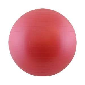   55CM Anti Burst Gym Excercise Workout Ball w/ Pump