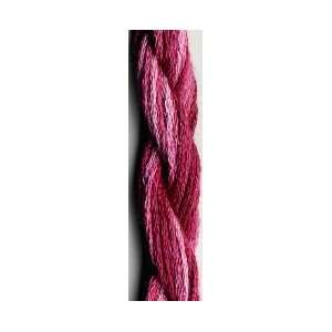  Dinky Dyes Floss   Raspberry Ripple Health & Personal 