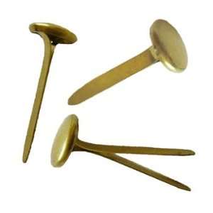 Brass plated Round Head Fasteners. 1 Length, Size 4, Total of 100 
