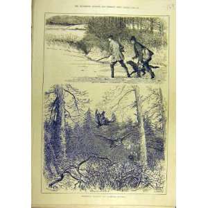  1883 Partridge Stalking Woodcock Shooting Sport Print 