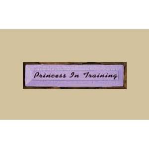  SaltBox Gifts SK519PIT Princess In Training Sign Patio 