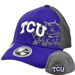  NCAA Texas Christian Horned Toads Top of World Purple Gray 