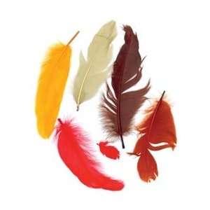  Zucker Feather Satinettes Feathers .25 Ounces Fall Mix 