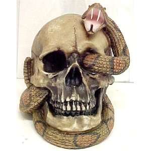  Creepy Human Skull & Rattlesnake Statue Rattler