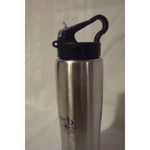  Metal Sports Bottle with straw and plastic cap 8.75 tall 