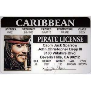  Johnny Depp Driver License