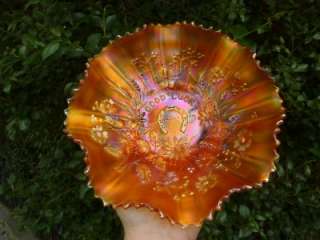 OUTSTANDING NORTHWOOD GOOD LUCK RED HOT NEON MARIGOLD CARNIVAL GLASS 