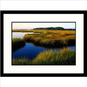 River, Ace Basin, South Carolina Framed Photograph   Ron Mellott 
