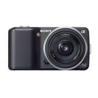  Digital Camera with Interchangeable Lens (Black)