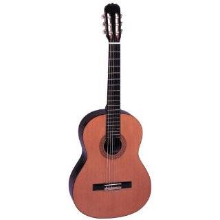   CL Full Size Classical Guitar with Deluxe Gig Bag Musical Instruments
