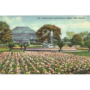   Postcard   Conservatory and Fountain   Lincoln Park   Chicago Illinois