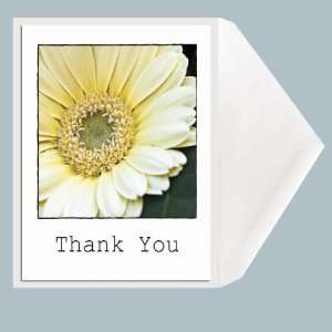    Daisy Dream Thank You Card by Tamara Kapan 