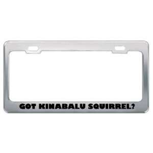 Got Kinabalu Squirrel? Animals Pets Metal License Plate Frame Holder 