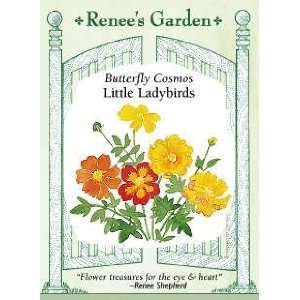  Cosmos   Little Ladybirds Seeds Patio, Lawn & Garden