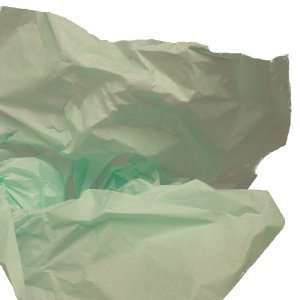  Cool Mint Tissue Paper 20 X 30   48 Sheets Health 