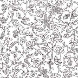  Insects CS by Cole & Son Wallpaper