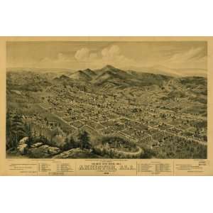 Historic Panoramic Map Birds eye view of Anniston, Ala. 1888. Drawn 