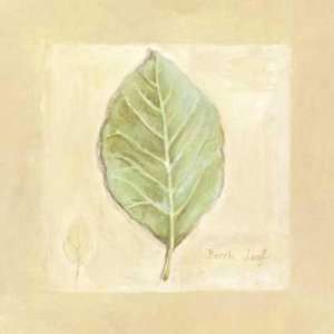  Beech Leaf