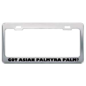 Got Asian Palmyra Palm? Eat Drink Food Metal License Plate 