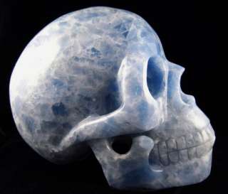 This beautiuful Life Size Blue Calcite Crystal Skull measures 7.75 