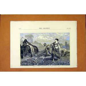  Country Notes Harrowing Potato Crop Farm Field 1872