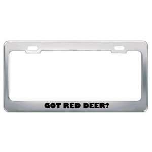  Got Red Deer? Animals Pets Metal License Plate Frame Holder Border 