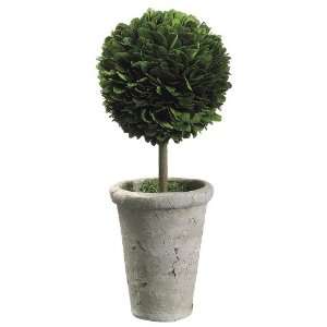  Boxwood Topiary in Terra Cotta Pot Green   LPB924 GR Silk Plant 