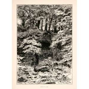  1894 Wood Engraving Scotts Cave Yorkshire England Trees 