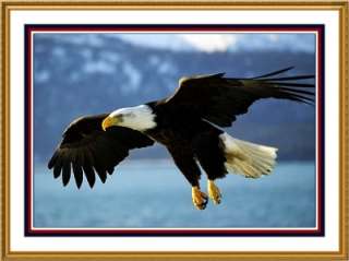 American Bald Eagle Flight USA Bird Counted Cross Stitch Chart  