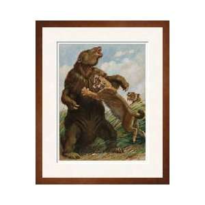   No Match For The Saber Tooth Tiger Framed Giclee Print