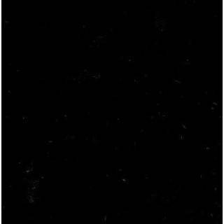  60 Wide WinterFleece Micro Chamois Black Fabric By The 