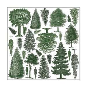  Creative Imaginations Great Outdoors Cardstock Die Cuts 26 