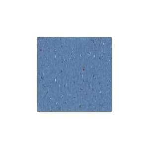   Vinyl Composition Tile Standard Excelon Multicolor Band Blue
