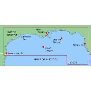  Garmin Bluechart XUS303B Gulf of Mexico Bathymetric, Micro 