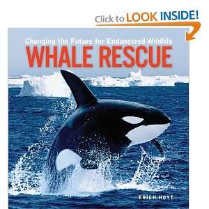  Whale Rescue Changing The Future For Endangered Wildlife 