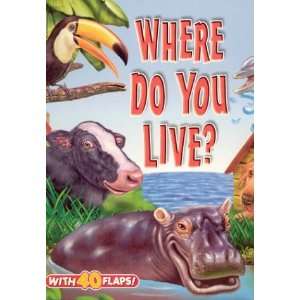  Where Do You Live? (Big Fun Super Flap Book 