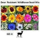 Wildflower Seed Mix, Deer Resistant Variety, BULK 2000 Seeds, Packed 
