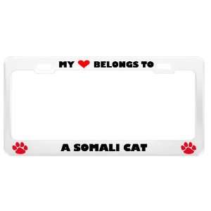 Somali Cat Pet White Metal License Plate Frame Tag Holder