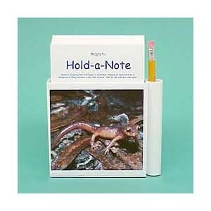  Salamander Hold a Note Patio, Lawn & Garden