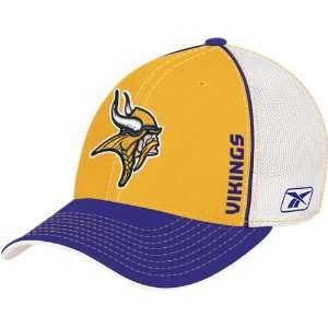  Minnesota Vikings NFL Sideline Flex Fit Hat Sports 