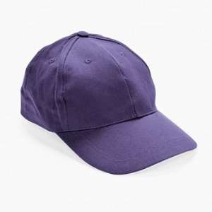  Purple Baseball Caps   Craft Kits & Projects & Design Your 